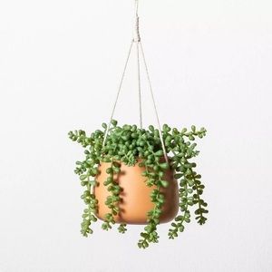 Hearth and Hand Hanging succulent plant